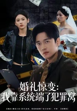 婚礼惊变：我靠系统端了犯罪窝(全集)