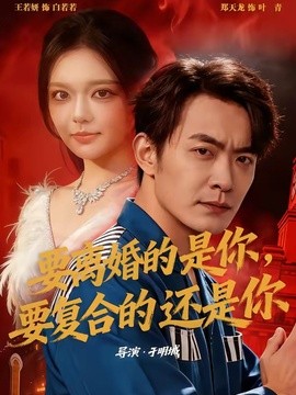 要离婚的是你，要复合的还是你(全集)