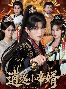 逍遥小帝婿(全集)