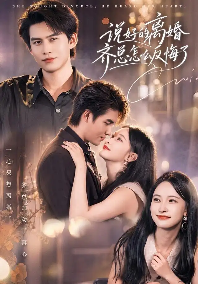 说好的离婚齐总怎么反悔了(全集)