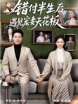 错付半生后，遇见宠妻天花板(全集)
